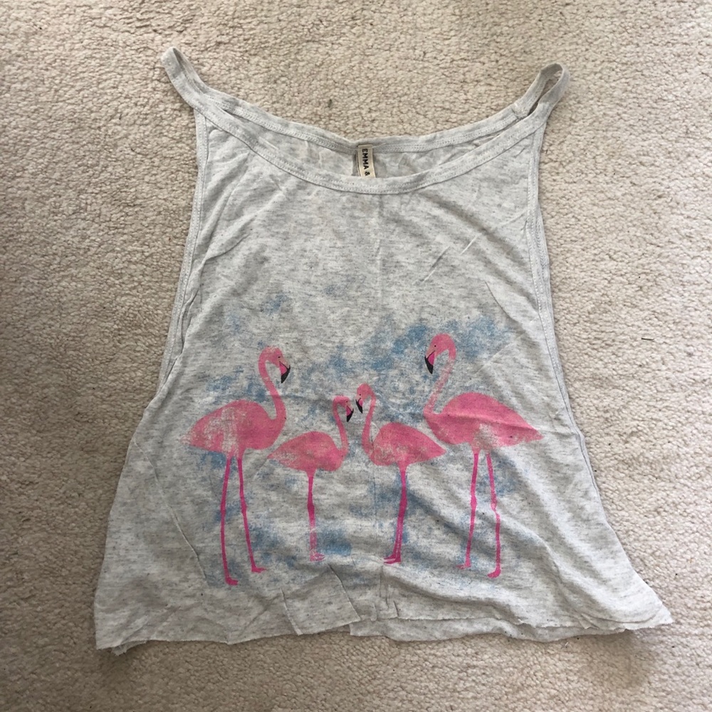 MOVING SALE! Emma + Sam LF Flamingo Cropped Tank